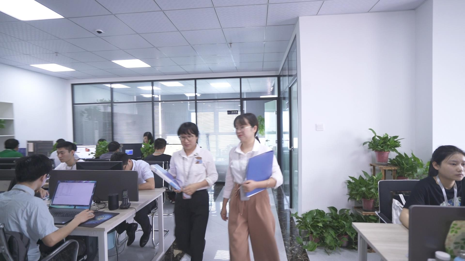 南宫NG28陪诊小程序开发怎么选？本土开发公司资质与定制服务详解